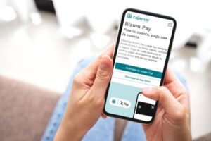 Bizum Pay