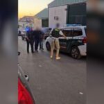 La Guardia Civil desmantela en Huércal de Almería una plantación indoor con más de 1.100 plantas de marihuana