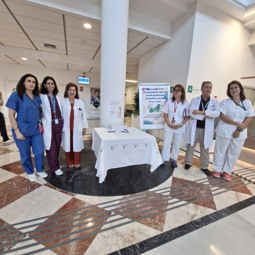 Hospital Universitario Poniente Duelo Perinatal