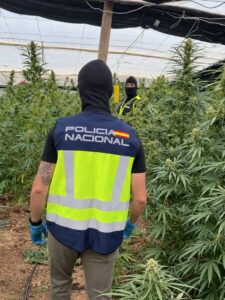 Policia Nacional Matagorda droga Ejido