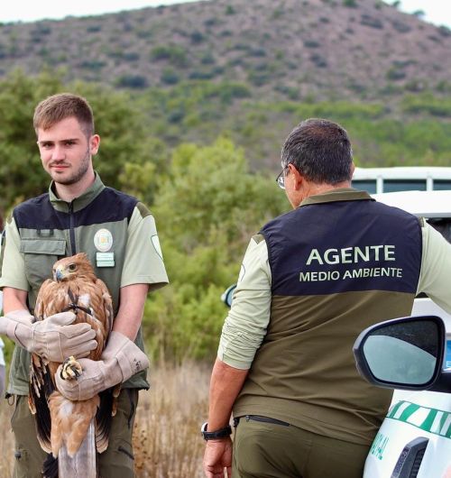 Suelta Águila Imperial Almería (3)