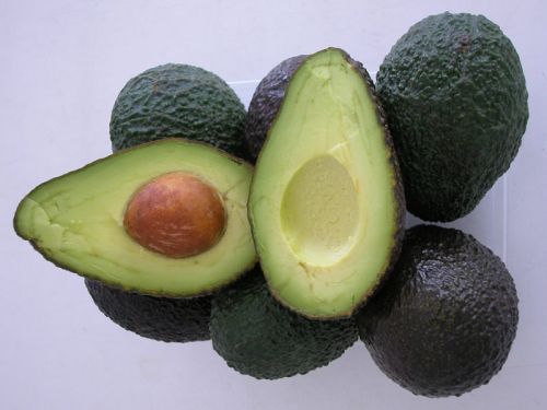 aguacate